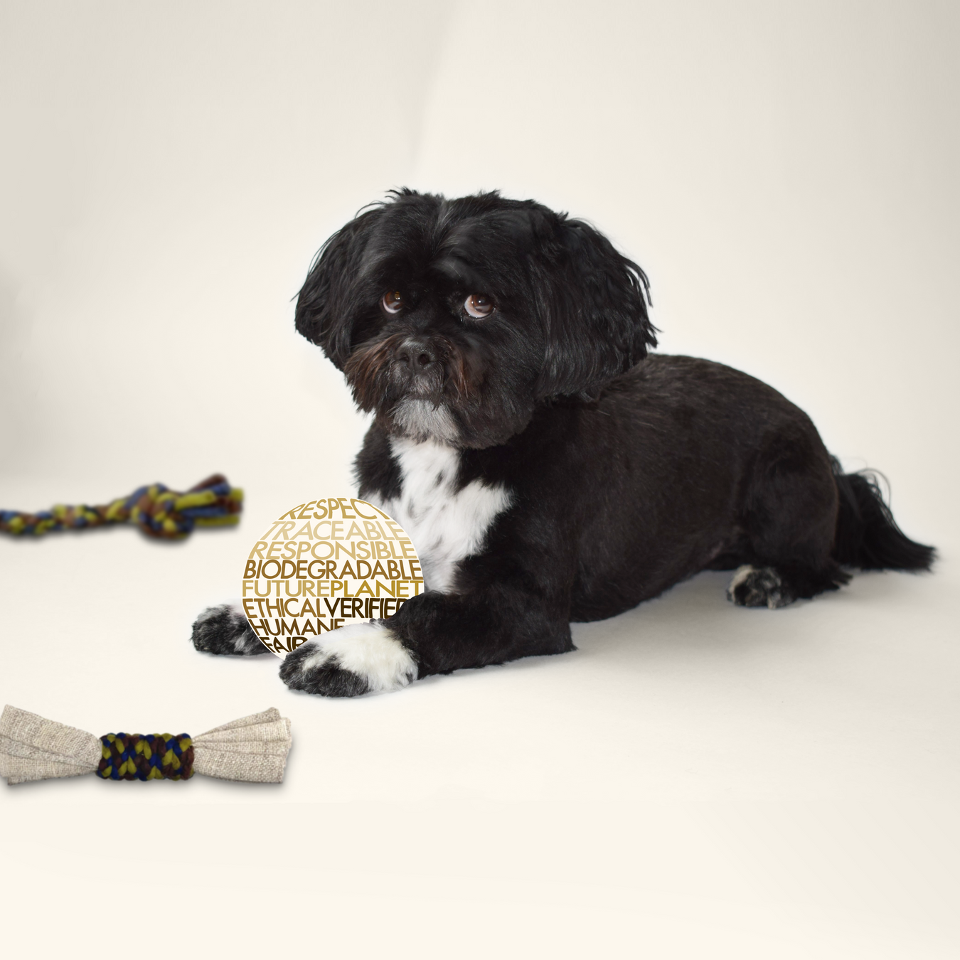 Dharma Dog Toys