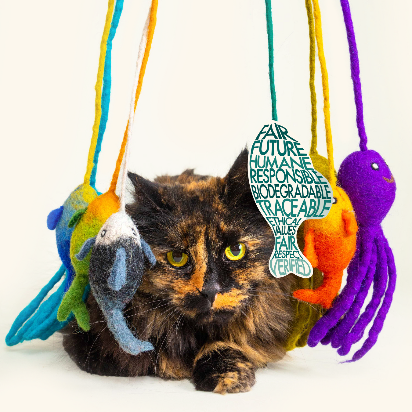 Cat Toys