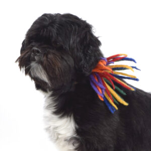 Collar Accessory, Fireworks, Rainbow